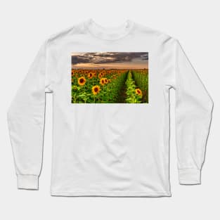 Sunflower Soldiers and Before A Colorado Summer Storm Long Sleeve T-Shirt